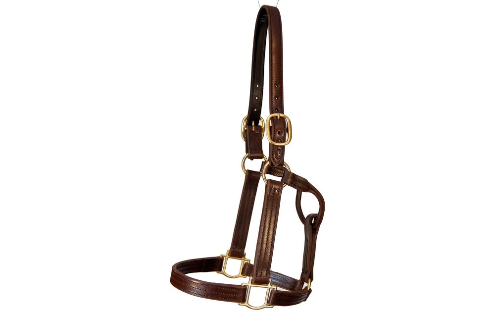 Leather Track Halter
