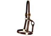 Track Halter