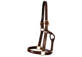 Track Halter