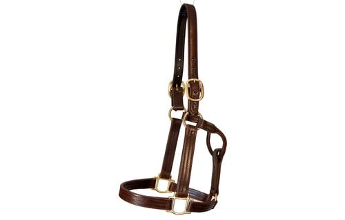 Track Halter