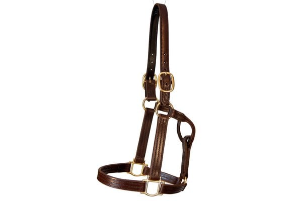 Track Halter