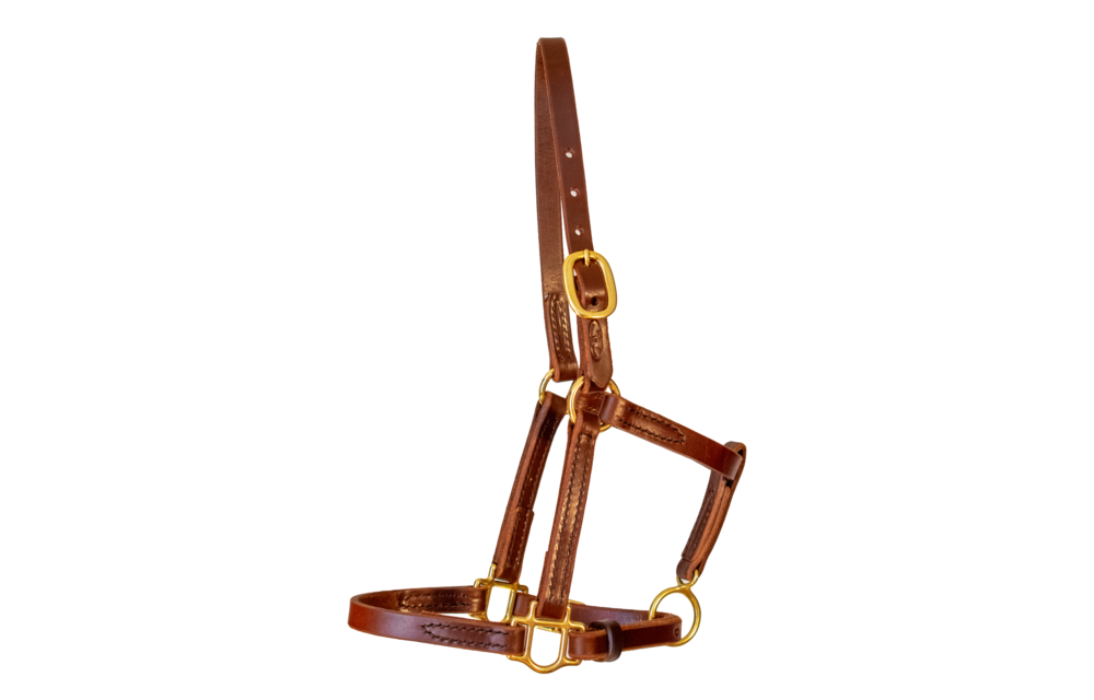 Turnout Halter