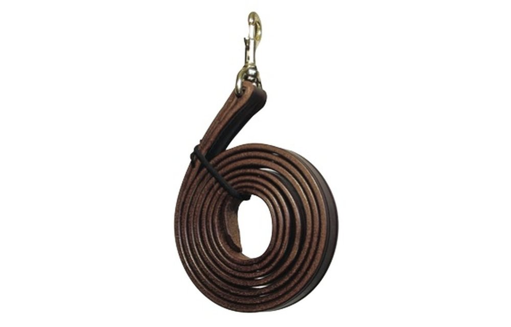 Leather Lead Shank