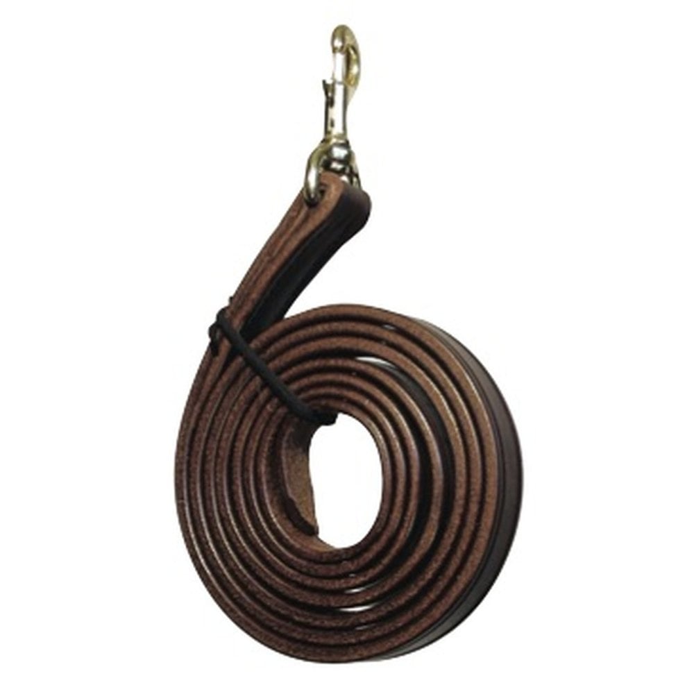 Leather Lead Shank
