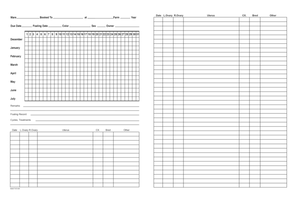 Teasing Sheet - 2 Sided Pack of 25