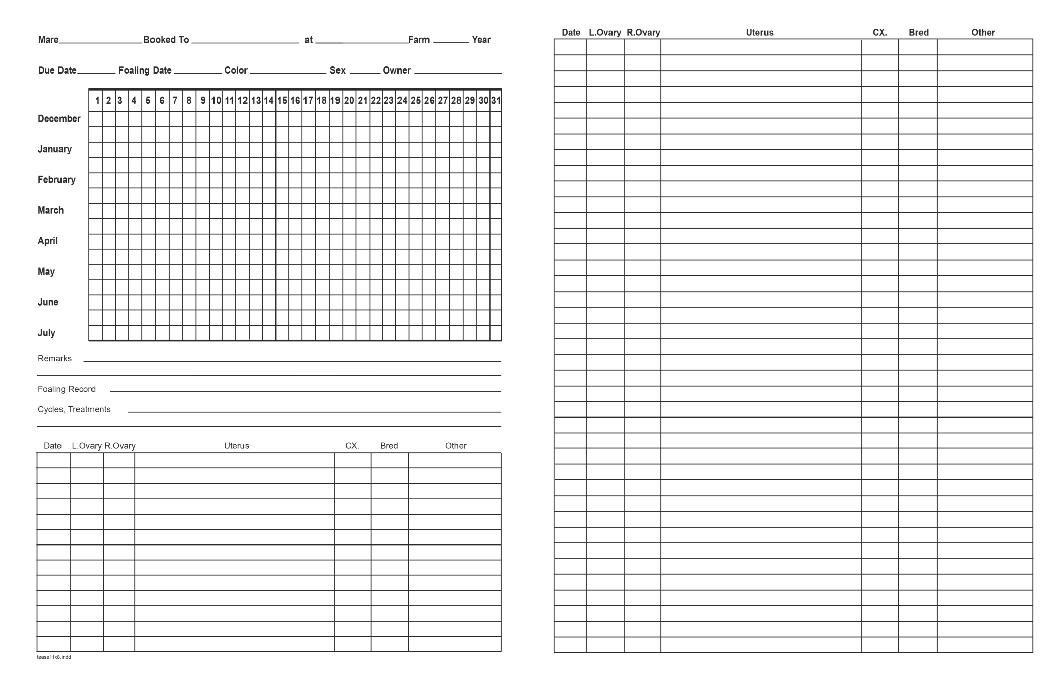 Teasing Sheet - 2 Sided Pack of 25