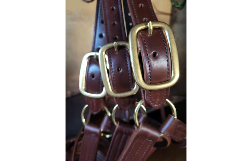 Sale Stallion Crown pc