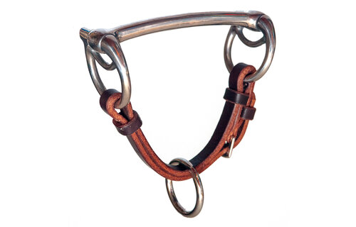 Mare/Year - Little Bit & Leather Chin