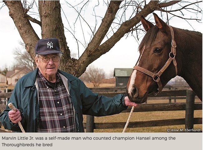 Mare/Year - Little Bit & Leather Chin