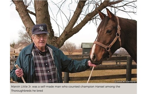 Weanling - Little  Bit &  Leather Chin