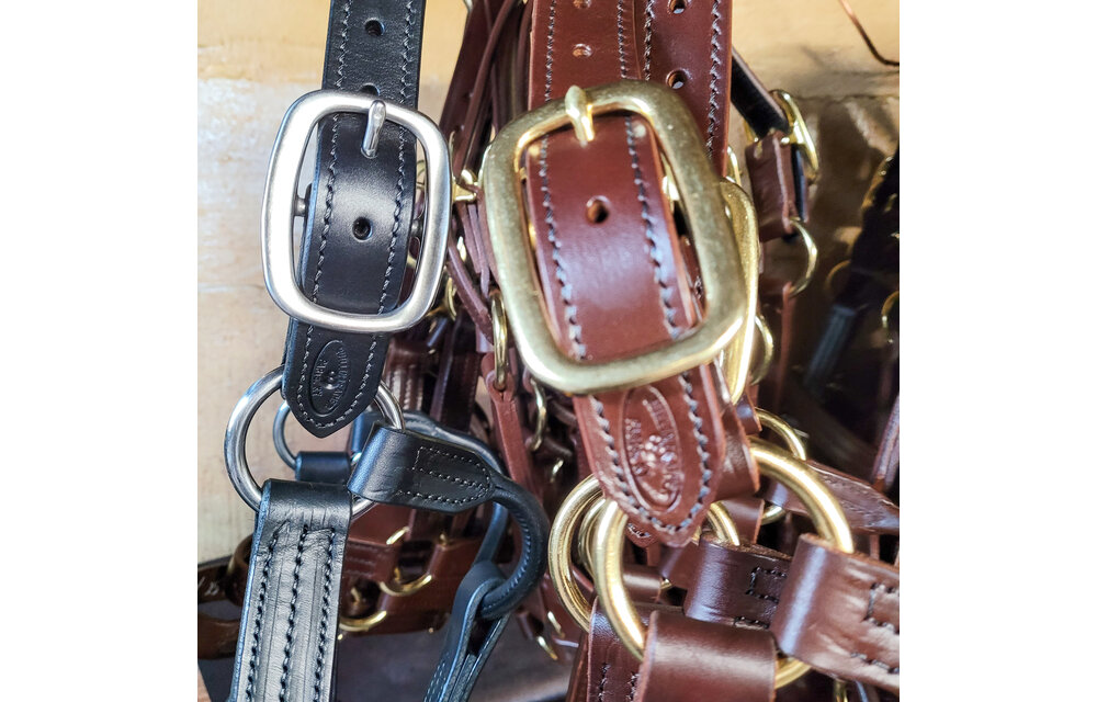 Stallion Sale Halter