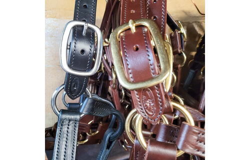 Leather Halter Stallion Sale