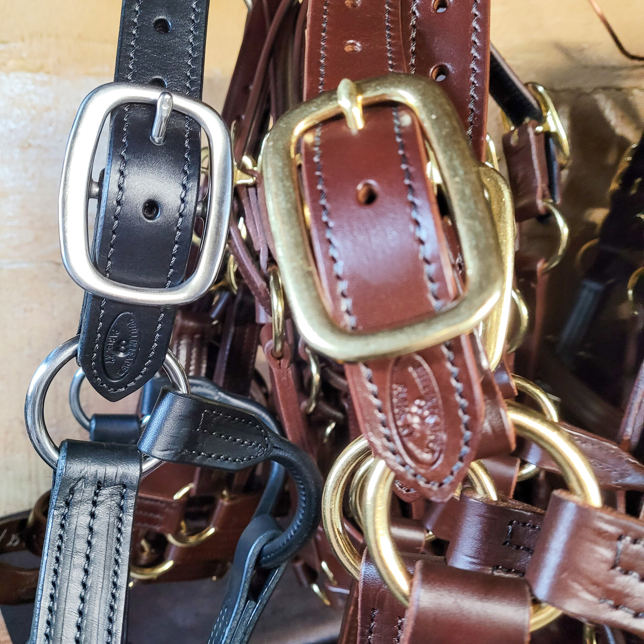 Stallion Sale Halter Quillin Leather & Tack, Inc