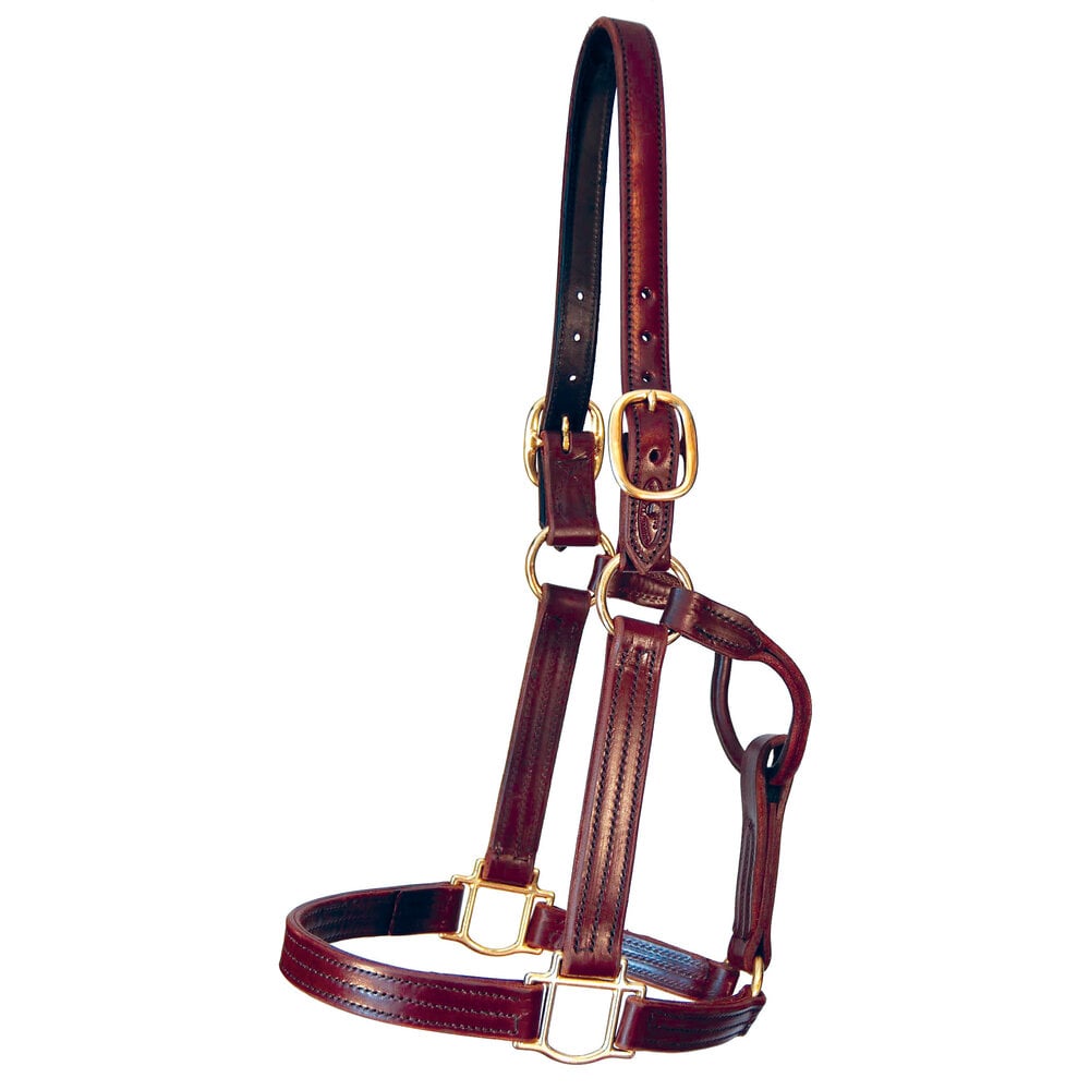 Quillin Kentucky Sale Halter in English bridle leather with solid brass hardware