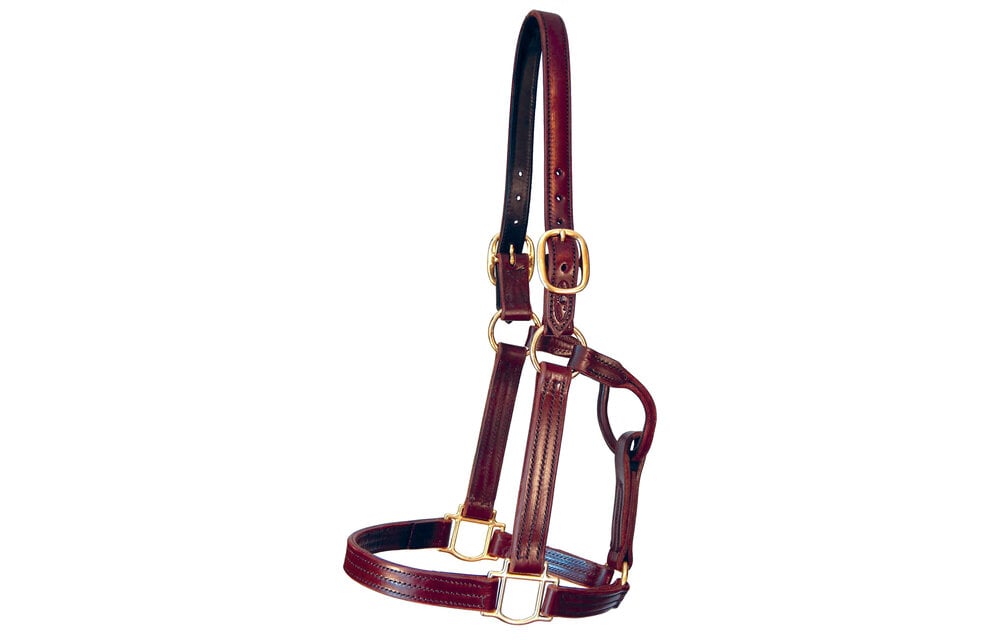 Kentucky Sale Halter