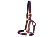 Leather Halter Kentucky - Sale