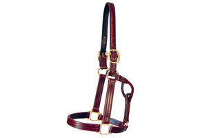 Kentucky Sale Halter
