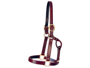 Kentucky Sale Halter