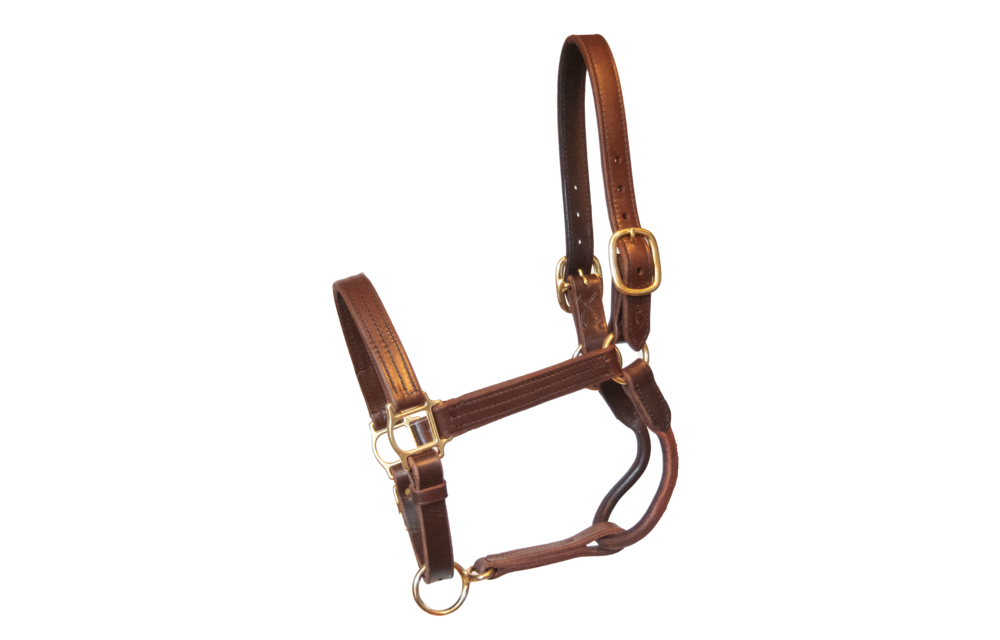 Old Friends Sale Halter