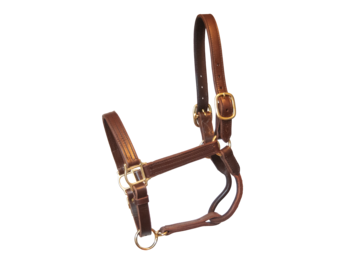 Old Friends Sale Halter