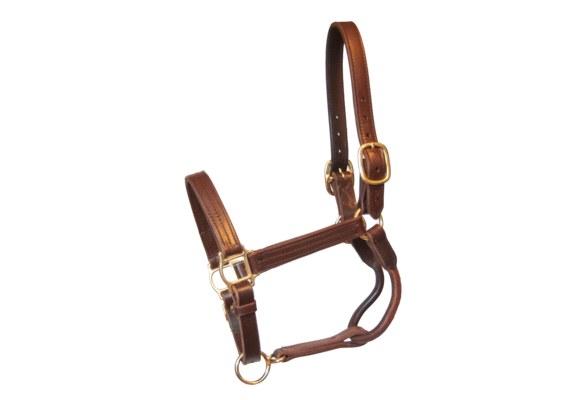 Old Friends Sale Halter