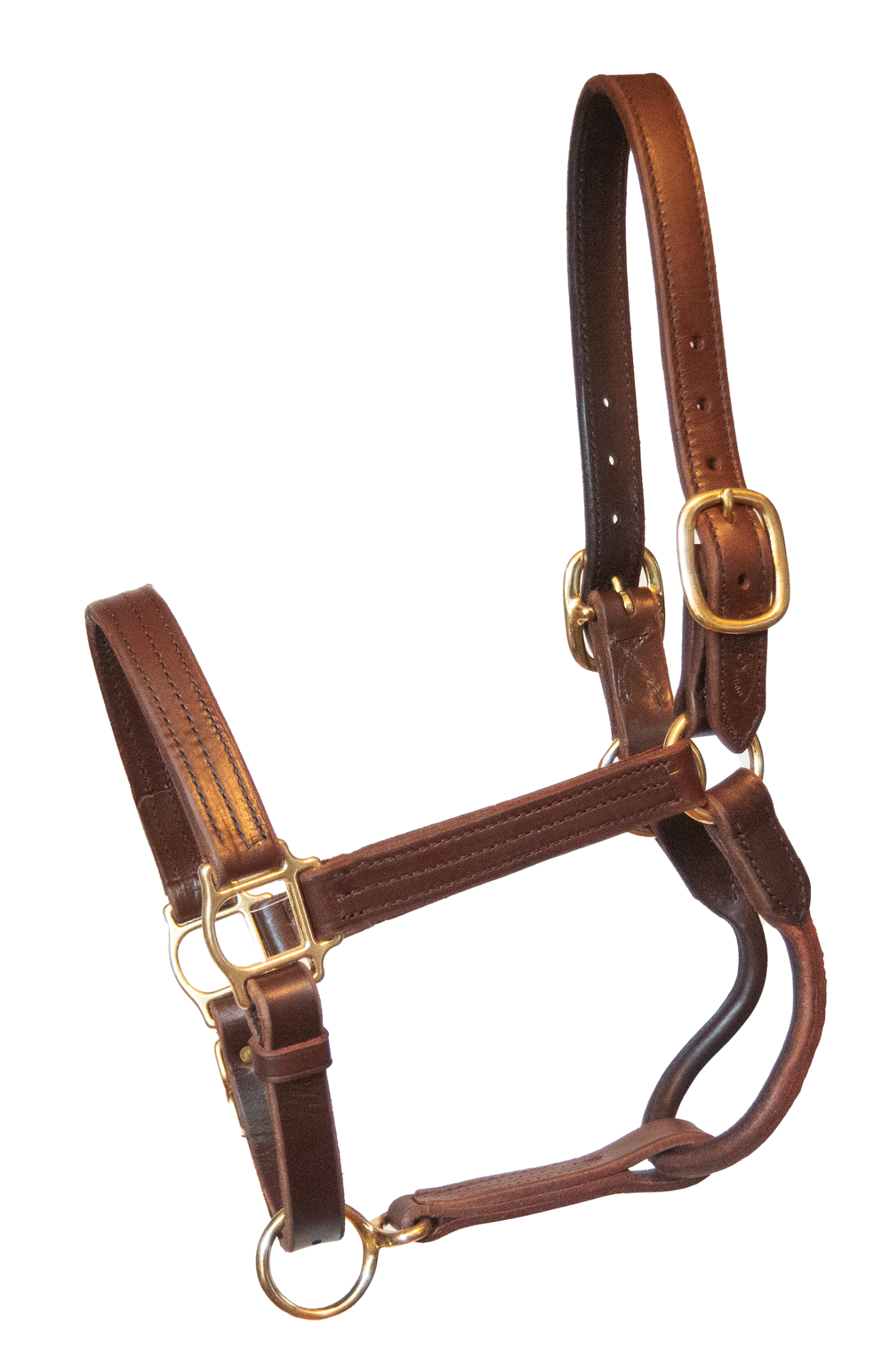Old Friends Sale Halter
