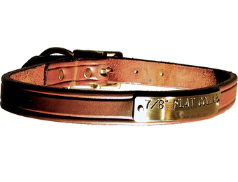 Flat Dog Collar