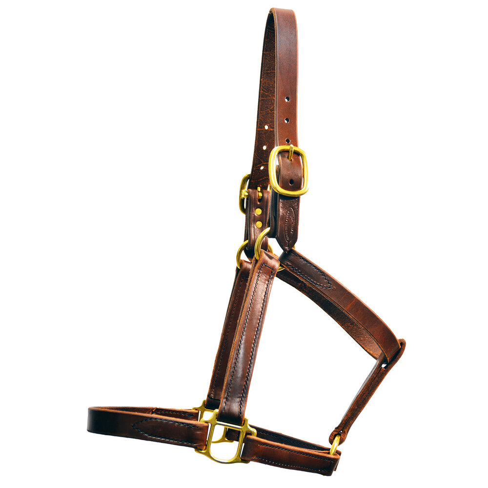 LEATHER Turnout Halter