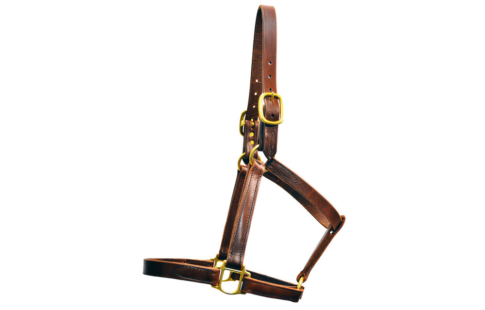 Halter Bourbon Turnout