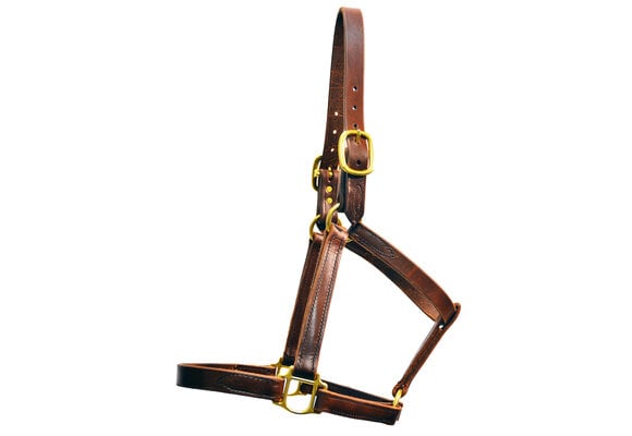 超爆安 - halters horse leather Custom Quillin Inc Tack, & Leather 乗馬、馬術