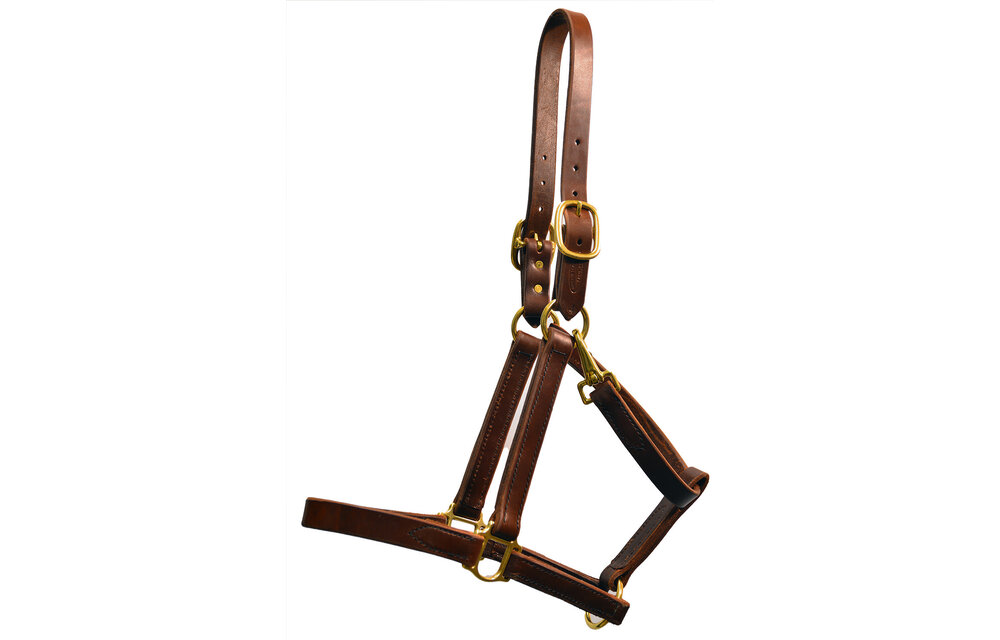 Halter Bourbon Turnout