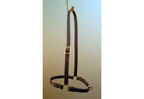 Grooming Halter - Large
