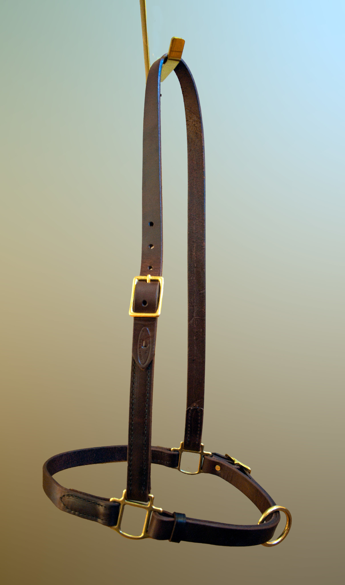 Grooming Halter - Large