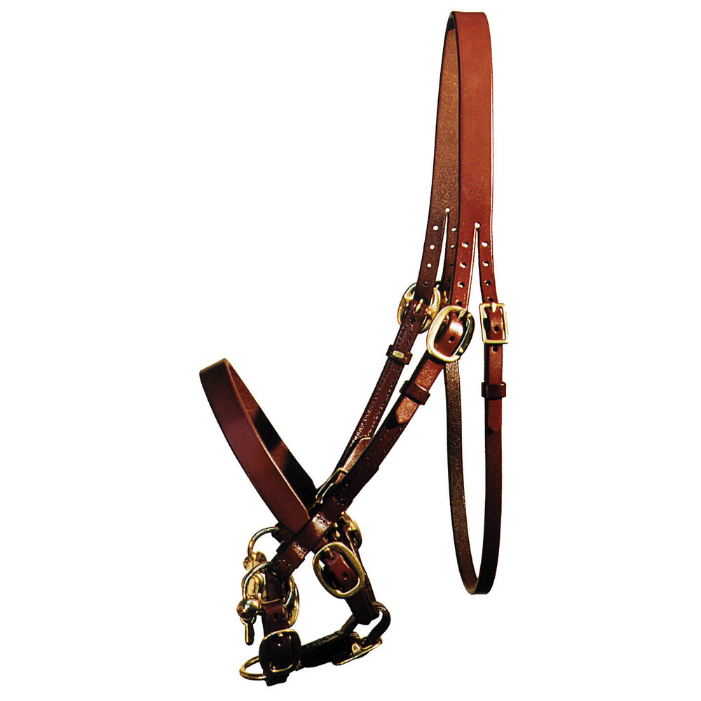 Yearling Sale Bridle (without bit) Quillin Leather & Tack, Inc
