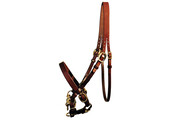 Halter Yearling Sale Bridle (without bit)