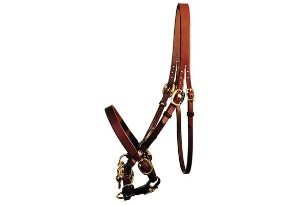 Halter Yearling Sale Bridle (without bit)