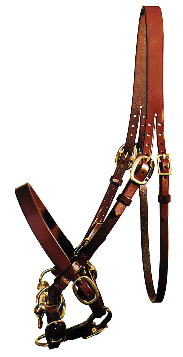 Halter Yearling Sale Bridle (without bit)