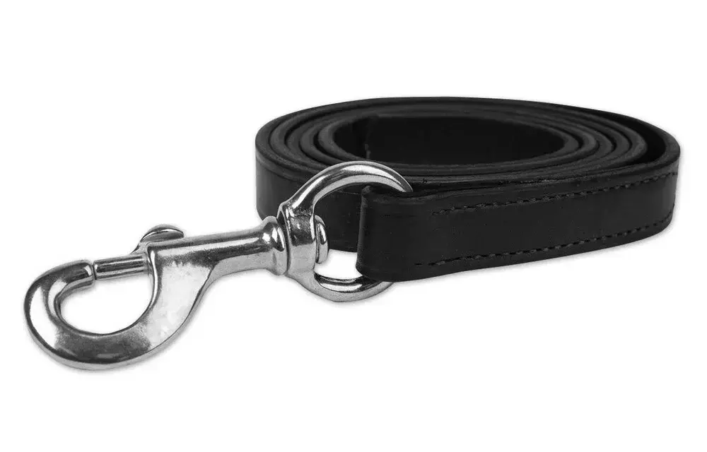 Leather Lead Shank