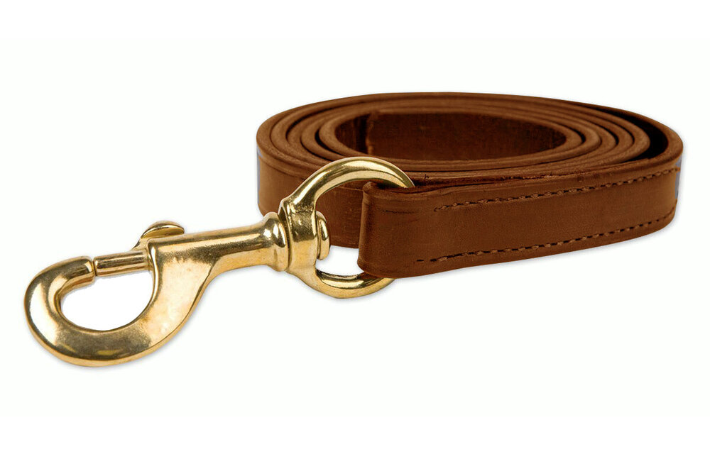Leather Lead Shank