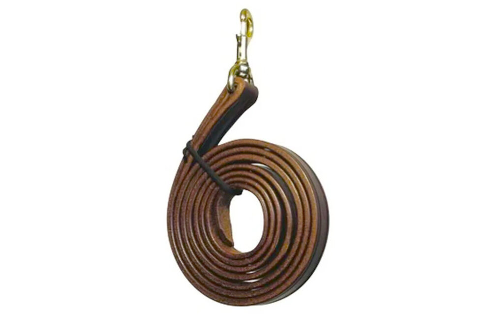 Leather Lead Shank