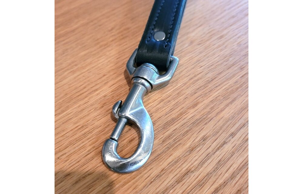 Leather City Leash