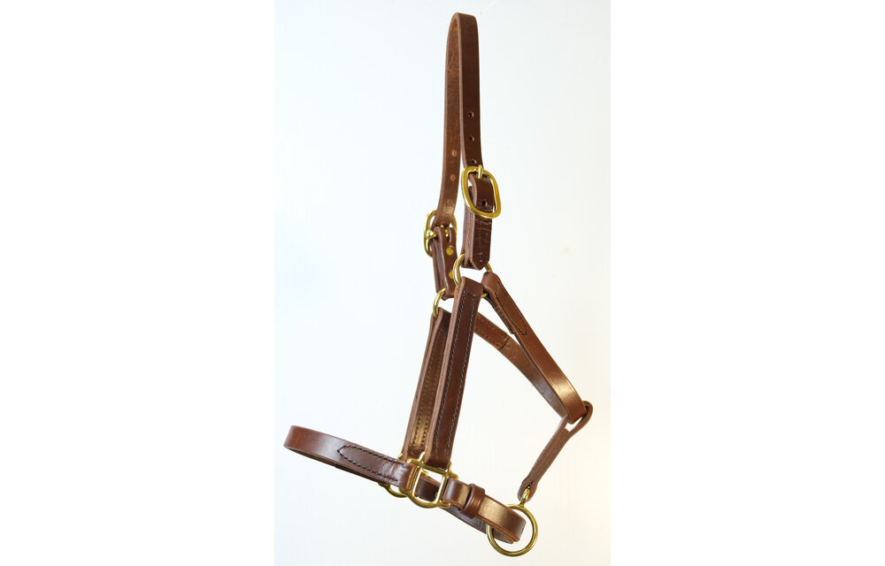 Halter Quillin Turnout