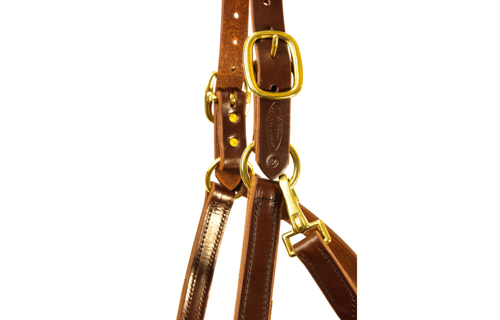 Halter Quillin Turnout