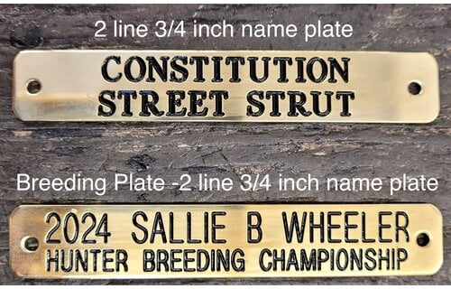 Kentucky Sale Halter