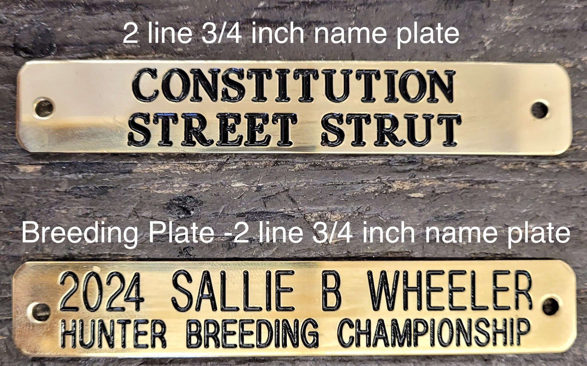 Kentucky Sale Halter