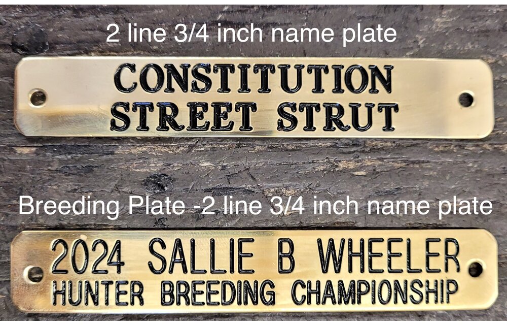 Leather Halter Stallion Sale