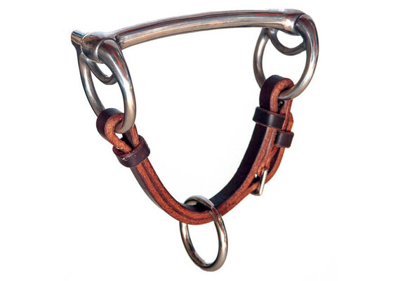 Breaking Bit Chin Floating Ring