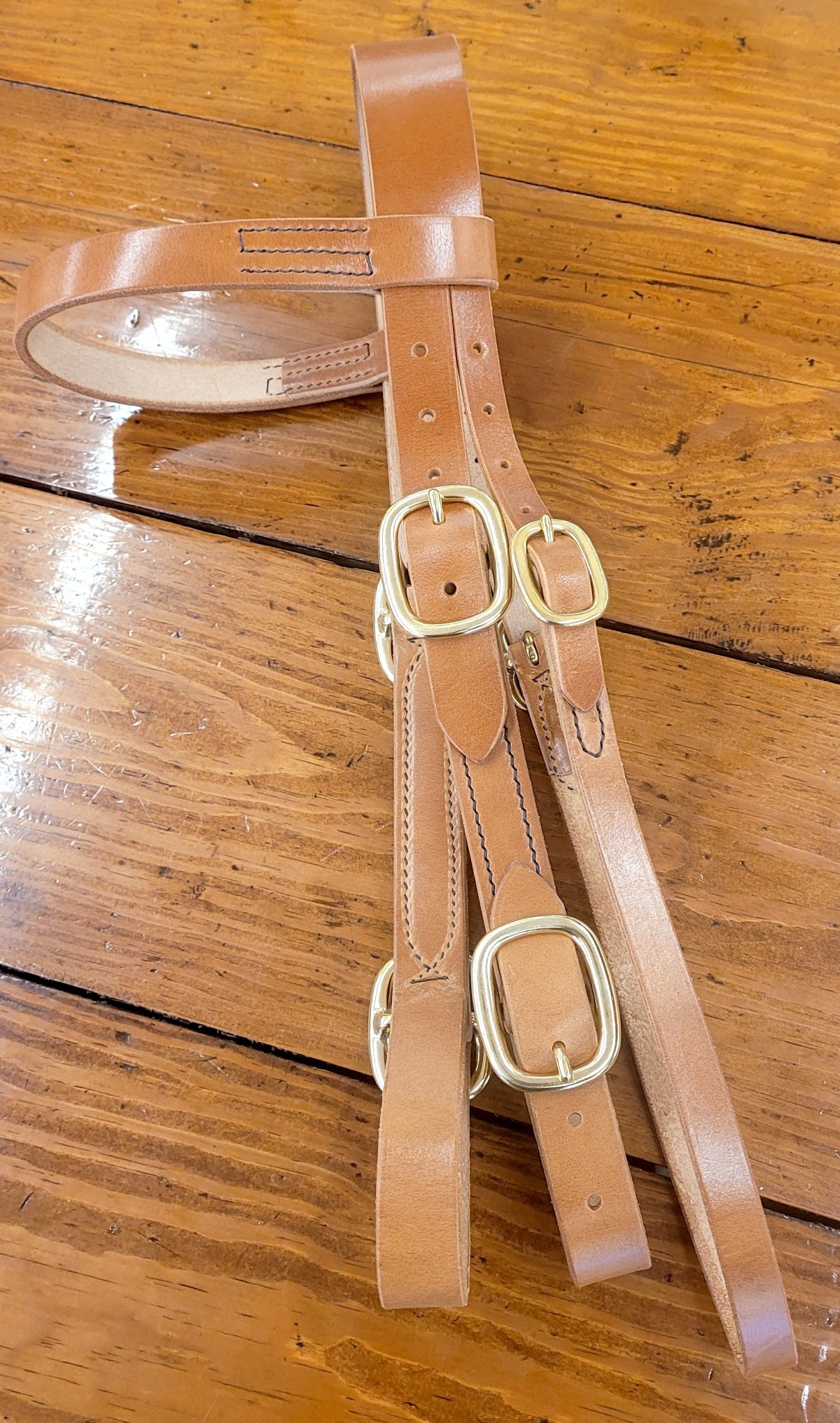 Stallion Breeding Bridle