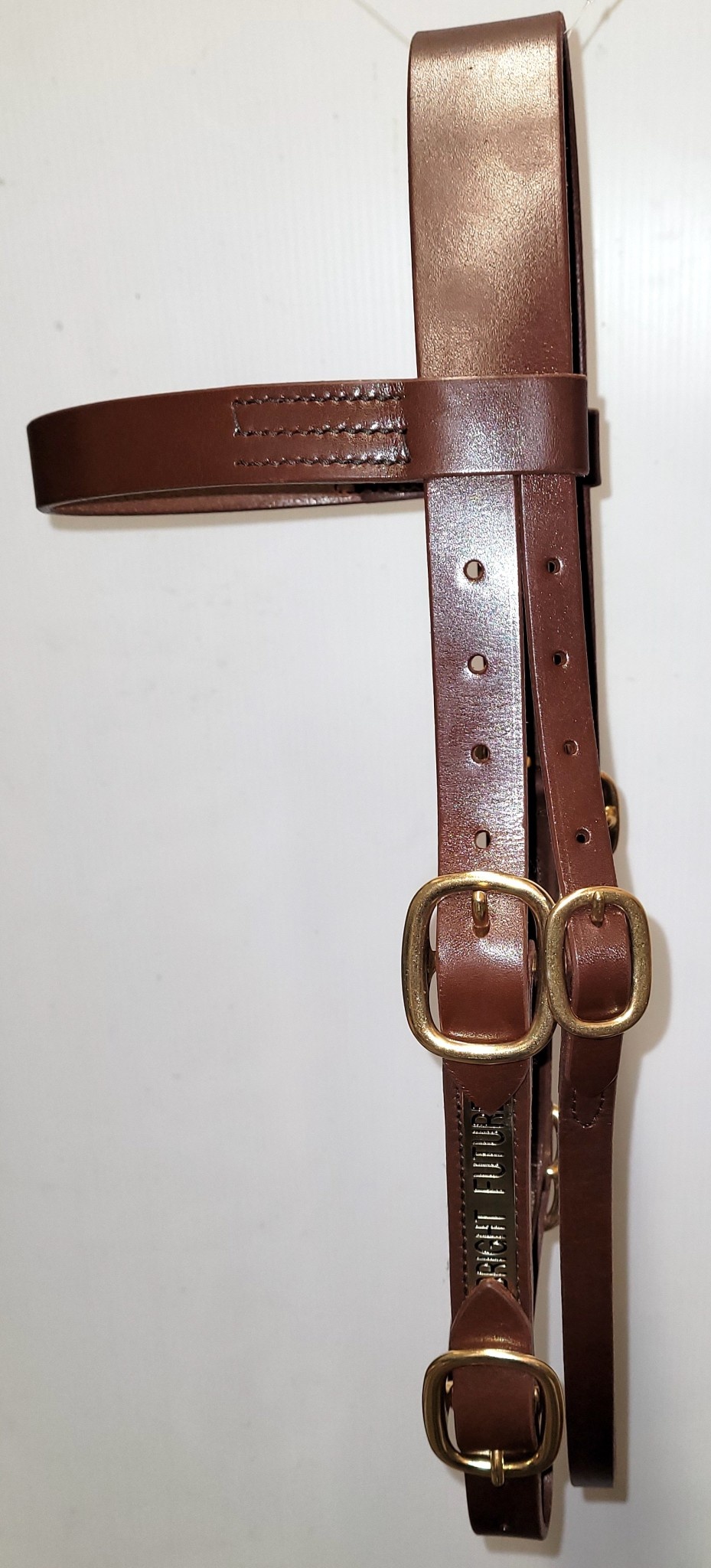 Stallion Breeding Bridle