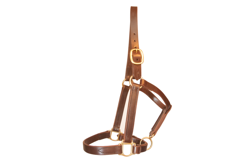 Halter Bourbon Turnout